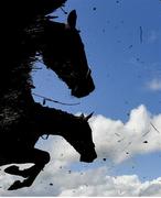 21 April 2025; Runners and riders jump the last during the Fairyhouse Steel Handicap Hurdle on day three of the Fairyhouse Easter Festival at Fairyhouse Racecourse in Ratoath, Meath. Photo by David Fitzgerald/Sportsfile