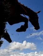 21 April 2025; Runners and riders jump the last during the Fairyhouse Steel Handicap Hurdle on day three of the Fairyhouse Easter Festival at Fairyhouse Racecourse in Ratoath, Meath. Photo by David Fitzgerald/Sportsfile
