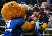 19 April 2025; Leo the Lion signs autographs during the United Rugby Championship match between Leinster and Ulster at the Aviva Stadium in Dublin. Photo by Brendan Moran/Sportsfile