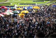 21 April 2025; A view of the crowds before the Rathbarry & Glenview Studs Hurdle on day three of the Fairyhouse Easter Festival at Fairyhouse Racecourse in Ratoath, Meath. Photo by David Fitzgerald/Sportsfile