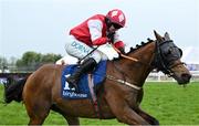 22 April 2025; Lord Erskine, with Darragh O'Keeffe up, on their way to winning The RYBO Handicap Hurdle on rescheduled day one of the Fairyhouse Easter Festival at Fairyhouse Racecourse in Ratoath, Meath. Photo by Shauna Clinton/Sportsfile