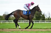22 April 2025; Cuta Des As, with Sean O'Keeffe up, goes to post ahead of the The BoyleSports Mares Handicap Steeplechase (Listed) on rescheduled day one of the Fairyhouse Easter Festival at Fairyhouse Racecourse in Ratoath, Meath. Photo by Shauna Clinton/Sportsfile