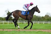 22 April 2025; Cuta Des As, with Sean O'Keeffe up, goes to post ahead of the The BoyleSports Mares Handicap Steeplechase (Listed) on rescheduled day one of the Fairyhouse Easter Festival at Fairyhouse Racecourse in Ratoath, Meath. Photo by Shauna Clinton/Sportsfile