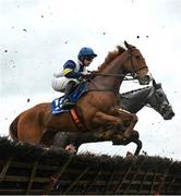22 April 2025; Lord Raven, with Phillip Enright up, jump the last during The Tom Quinlan Electrical Maiden Hurdle on rescheduled day one of the Fairyhouse Easter Festival at Fairyhouse Racecourse in Ratoath, Meath. Photo by Shauna Clinton/Sportsfile Photo by Shauna Clinton/Sportsfile