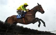 22 April 2025; Goody Four Shoes, withMike O'Connor up, jump the last 'first time round' during The Irish Stallion Farms EBF Novice Handicap Hurdle Series Final (Listed) on rescheduled day one of the Fairyhouse Easter Festival at Fairyhouse Racecourse in Ratoath, Meath. Photo by Shauna Clinton/Sportsfile