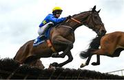22 April 2025; Letos, with Danny Mullins up, jump the last 'first time round' during The Tom Quinlan Electrical Maiden Hurdle on rescheduled day one of the Fairyhouse Easter Festival at Fairyhouse Racecourse in Ratoath, Meath. Photo by Shauna Clinton/Sportsfile