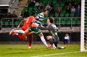 25 April 2025; Mipo Odubeko of Shelbourne celebrates after scoring his side's second goal during the SSE Airtricity Men's Premier Division match between Shamrock Rovers and Shelbourne at Tallaght Stadium in Dublin. Photo by Ramsey Cardy/Sportsfile