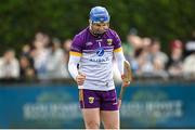 26 April 2025; Wexford goalkeeper Mark Fanning celebrates his side's first goal during the Leinster GAA Hurling Senior Championship Round 2 match between Dublin and Wexford at Parnell Park in Dublin. Photo by David Fitzgerald/Sportsfile