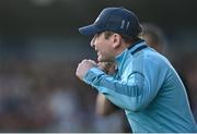 26 April 2025; Dublin manager Niall Ó Ceallacháin during the Leinster GAA Hurling Senior Championship Round 2 match between Dublin and Wexford at Parnell Park in Dublin. Photo by David Fitzgerald/Sportsfile
