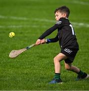 26 April 2025; Six year old Eoin Hannon, from Ballyskenagh - Kilavilla in Offaly before the Leinster GAA Hurling Senior Championship Round 2 match between Offaly and Galway at Glenisk O’Connor Park in Tullamore, Offaly. Photo by Ray McManus/Sportsfile