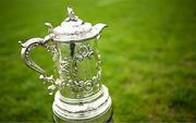 27 April 2025; The Leinster Junior Challenge Cup before the Bank of Ireland Provincial Towns Cup final match between Athy RFC and County Carlow FC at Forenaughts in Naas, Kildare. Photo by Seb Daly/Sportsfile