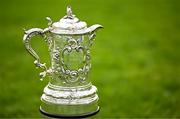 27 April 2025; The Leinster Junior Challenge Cup before the Bank of Ireland Provincial Towns Cup final match between Athy RFC and County Carlow FC at Forenaughts in Naas, Kildare. Photo by Seb Daly/Sportsfile