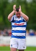 27 April 2025; Athy captain Tadgh Foley celebrates his side winning a penalty during the Bank of Ireland Provincial Towns Cup final match between Athy RFC and County Carlow FC at Forenaughts in Naas, Kildare. Photo by Seb Daly/Sportsfile