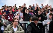 27 April 2025; Kildare supporters react during the Leinster GAA Football Senior Championship semi-final match between Kildare and Louth at Glenisk O'Connor Park in Tullamore, Offaly. Photo by Shauna Clinton/Sportsfile