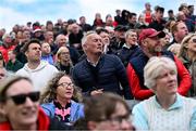 27 April 2025; Louth supporters react in the final minutes of the Leinster GAA Football Senior Championship semi-final match between Kildare and Louth at Glenisk O'Connor Park in Tullamore, Offaly. Photo by Shauna Clinton/Sportsfile
