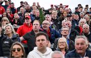 27 April 2025; Louth supporters react in the final minutes of the Leinster GAA Football Senior Championship semi-final match between Kildare and Louth at Glenisk O'Connor Park in Tullamore, Offaly. Photo by Shauna Clinton/Sportsfile