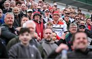 27 April 2025; Louth supporters react in the final minutes of the Leinster GAA Football Senior Championship semi-final match between Kildare and Louth at Glenisk O'Connor Park in Tullamore, Offaly. Photo by Shauna Clinton/Sportsfile