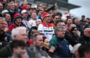 27 April 2025; Louth supporters look on during the Leinster GAA Football Senior Championship semi-final match between Kildare and Louth at Glenisk O'Connor Park in Tullamore, Offaly. Photo by Shauna Clinton/Sportsfile