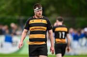 27 April 2025; County Carlow captain John Lyons during the Bank of Ireland Provincial Towns Cup final match between Athy RFC and County Carlow FC at Forenaughts in Naas, Kildare. Photo by Seb Daly/Sportsfile