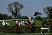 29 April 2025; Runners and riders during The Kildare Hunt Club Cross Country Chase for the Ladies Perpetual Cup on day one of the Punchestown Festival at Punchestown Racecourse in Kildare. Photo by David Fitzgerald/Sportsfile