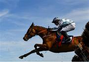 29 April 2025; Timmy Tuesday, with Josh Harry Williamson up, clear the last during the Albert Bartlett Triple Crown Series Final on day one of the Punchestown Festival at Punchestown Racecourse in Kildare. Photo by David Fitzgerald/Sportsfile