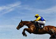 29 April 2025; Rocheval, with Patrick Wadge up, clear the last during the Albert Bartlett Triple Crown Series Final on day one of the Punchestown Festival at Punchestown Racecourse in Kildare. Photo by David Fitzgerald/Sportsfile