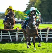 29 April 2025; Irancy, with Mark Walsh up, on their way to winning The KPMG Gr. 1 Champion Novice Hurdle on day one of the Punchestown Festival at Punchestown Racecourse in Kildare. Photo by David Fitzgerald/Sportsfile