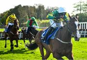 29 April 2025; Irancy, with Mark Walsh up, on their way to winning The KPMG Gr. 1 Champion Novice Hurdle on day one of the Punchestown Festival at Punchestown Racecourse in Kildare. Photo by David Fitzgerald/Sportsfile