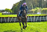 29 April 2025; Kopek Des Bordes, with Paul Townend up, on their way to finishing fourth in The KPMG Gr. 1 Champion Novice Hurdle on day one of the Punchestown Festival at Punchestown Racecourse in Kildare. Photo by David Fitzgerald/Sportsfile