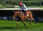 29 April 2025; Ballyburn, with Paul Townend up, during The GR1 Dooley Insurance Group Champion Novice Chase during day one of the Punchestown Festival at Punchestown Racecourse in Kildare. Photo by David Fitzgerald/Sportsfile