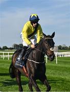 29 April 2025; Marine Nationale, with Sean Flanagan up, goes to post before The William Hill Champion Chase on day one of the Punchestown Festival at Punchestown Racecourse in Kildare. Photo by David Fitzgerald/Sportsfile