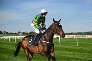 29 April 2025; Fact To File, with Mark Walsh up, goes to post before The William Hill Champion Chase on day one of the Punchestown Festival at Punchestown Racecourse in Kildare. Photo by David Fitzgerald/Sportsfile