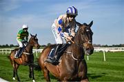 29 April 2025; Captain Guinness, with Rachael Blackmore up, goes to post before The William Hill Champion Chase on day one of the Punchestown Festival at Punchestown Racecourse in Kildare. Photo by David Fitzgerald/Sportsfile