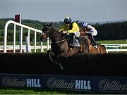 29 April 2025; Marine Nationale, with Sean Flanagan up, jumps the last on their way to winning The William Hill Champion Chase on day one of the Punchestown Festival at Punchestown Racecourse in Kildare. Photo by David Fitzgerald/Sportsfile
