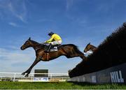29 April 2025; Marine Nationale, with Sean Flanagan up, jumps the last on their way to winning The William Hill Champion Chase on day one of the Punchestown Festival at Punchestown Racecourse in Kildare. Photo by David Fitzgerald/Sportsfile