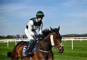 29 April 2025; Solness, with JJ Slevin up, goes to post before The William Hill Champion Chase on day one of the Punchestown Festival at Punchestown Racecourse in Kildare. Photo by David Fitzgerald/Sportsfile