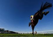 30 April 2025; Galopin Des Champs, with Paul Townend up, clear the last on their way to winning the Ladbrokes Punchestown Gold Cup Chase on day two of the Punchestown Festival at Punchestown Racecourse in Kildare. Photo by David Fitzgerald/Sportsfile
