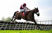 1 May 2025; Putapoundinthejar, with Sean Bowen up, jumps the last on their way to winning the Specialist Group Handicap Hurdle during day three of the Punchestown Festival at Punchestown Racecourse in Kildare. Photo by Seb Daly/Sportsfile