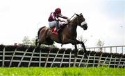 1 May 2025; Putapoundinthejar, with Sean Bowen up, jumps the last on their way to winning the Specialist Group Handicap Hurdle during day three of the Punchestown Festival at Punchestown Racecourse in Kildare. Photo by Seb Daly/Sportsfile