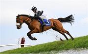 1 May 2025; Read To Return, with Derek O'Connor, up, left, jumps Ruby's Double during the Mongey Communications La Touche Cup Cross Country Steeplechase during day three of the Punchestown Festival at Punchestown Racecourse in Kildare. Photo by Seb Daly/Sportsfile