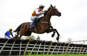 1 May 2025; Cottesloe Sunshine, with JJ Slevin up, during the Close Brothers Irish EBF Mares Novice Hurdle during day three of the Punchestown Festival at Punchestown Racecourse in Kildare. Photo by Seb Daly/Sportsfile