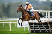 1 May 2025; Cottesloe Sunshine, with JJ Slevin up, jumps the last during the Close Brothers Irish EBF Mares Novice Hurdle during day three of the Punchestown Festival at Punchestown Racecourse in Kildare. Photo by Seb Daly/Sportsfile