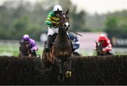 1 May 2025; Majborough, with Mark Walsh up, jumps the last on their way to winning the Barberstown Castle Novice Steeplechase during day three of the Punchestown Festival at Punchestown Racecourse in Kildare. Photo by Seb Daly/Sportsfile