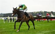 1 May 2025; Majborough, with Mark Walsh up, on their way to winning the Barberstown Castle Novice Steeplechase during day three of the Punchestown Festival at Punchestown Racecourse in Kildare. Photo by Seb Daly/Sportsfile