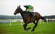 1 May 2025; Majborough, with Mark Walsh up, on their way to winning the Barberstown Castle Novice Steeplechase during day three of the Punchestown Festival at Punchestown Racecourse in Kildare. Photo by Seb Daly/Sportsfile