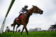 1 May 2025; Teahupoo, with Sam Ewing up, on their way to winning the Ladbrokes Champion Stayers Hurdle during day three of the Punchestown Festival at Punchestown Racecourse in Kildare. Photo by Seb Daly/Sportsfile