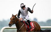 1 May 2025; Jockey Sam Ewing celebrates on Teahupoo on their way to winning the Ladbrokes Champion Stayers Hurdle during day three of the Punchestown Festival at Punchestown Racecourse in Kildare. Photo by Seb Daly/Sportsfile