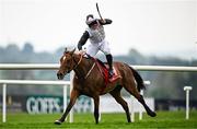 1 May 2025; Jockey Sam Ewing celebrates on Teahupoo on their way to winning the Ladbrokes Champion Stayers Hurdle during day three of the Punchestown Festival at Punchestown Racecourse in Kildare. Photo by Seb Daly/Sportsfile