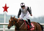 1 May 2025; Jockey Sam Ewing celebrates on Teahupoo on their way to winning the Ladbrokes Champion Stayers Hurdle during day three of the Punchestown Festival at Punchestown Racecourse in Kildare. Photo by Seb Daly/Sportsfile