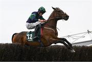 1 May 2025; Gaelic Arc, with Daniel King up, during the Frontline Security Handicap Steeplechase on day three of the Punchestown Festival at Punchestown Racecourse in Kildare. Photo by Seb Daly/Sportsfile